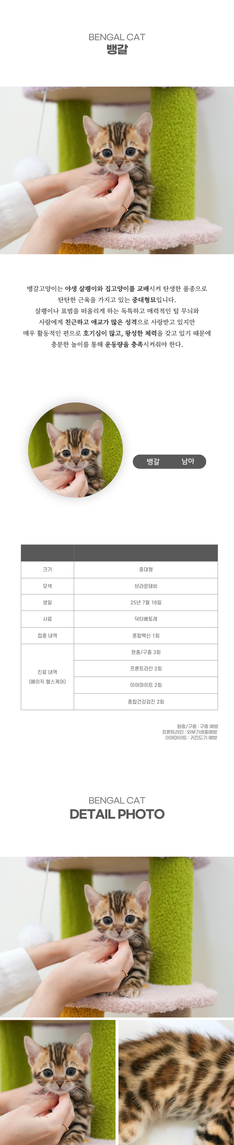 뱅갈_상세이미지_2